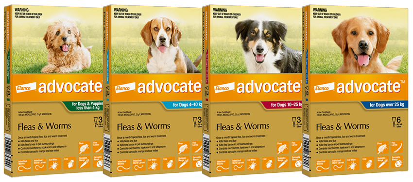 A&R Mobile Veterinary services - advocate - flea and worming