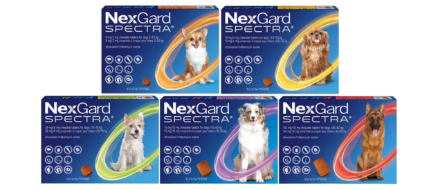 A&R Mobile Veterinary services - advocate - flea and worming