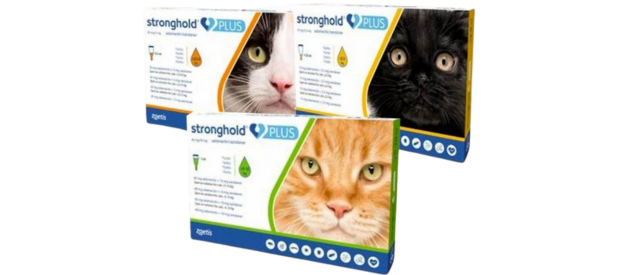 A&R Mobile Veterinary services - advocate - flea and worming